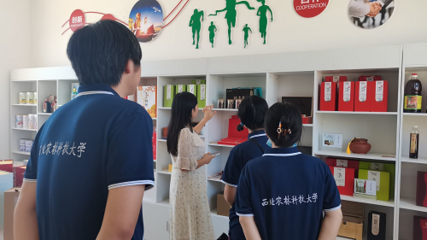 尋訪富平柿餅：感受新‘柿’代匠心教育